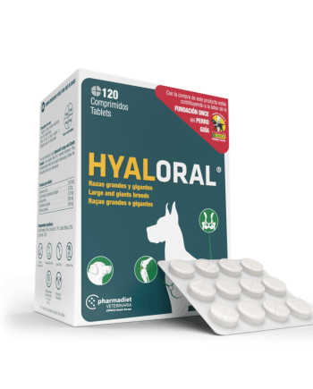 Hyaloral Giant papildas šunų sąnarių sutrikimams mažinti