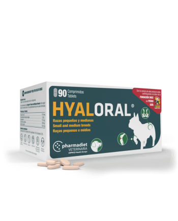Hyaloral Medium papildas šunų sąnarių sutrikimams mažinti