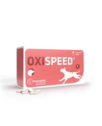 Oxispeed papildas vyresnio amžiaus šunims
