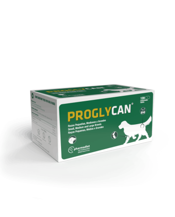 Proglycan papildas palaikantis kremzlių regeneraciją