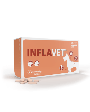 inflavet-pasaro-papildas-katems-ir-sunims-padedantis-pagerinti-bendra-organizmo-savijauta