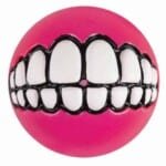 Toys Grinz Balls Gr02 K Pink 1D4Cf56F 7240 4Af4 87Df Bf1B9D0Ce07E 926209 1 - Šlapiosnosys.lt - 2023