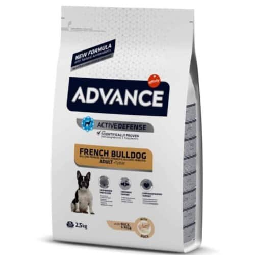 Advance French Bulldog 966574 - Šlapiosnosys.lt - 2023