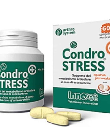 condrostress papildas sunims
