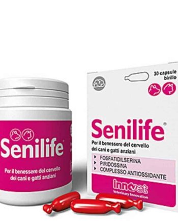 Senilife papildas palaiko smegenų veiklos funkciją senstant