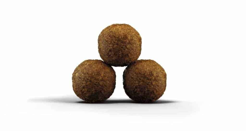 Sausas maistas kačiukams Josera - Kitten 2 Kg