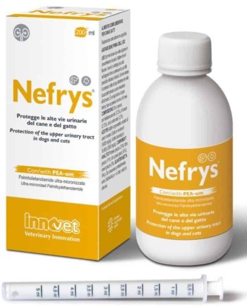 Nefrys papildas viršutinių šlapimo takų apsaugai