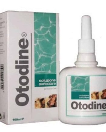 Otodine ausų valiklis bakteriniam pūlingam otitui gydyti