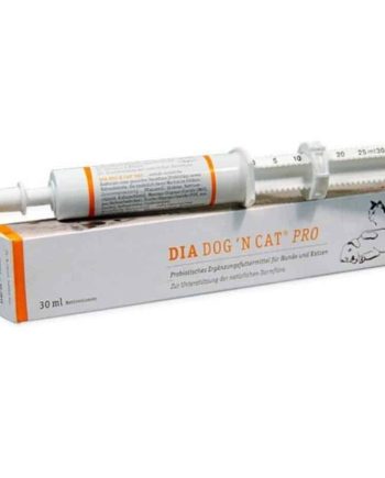 Dia Dog&Cat PRO Injector probiotinis papildas virškinimo sutrikimų metu