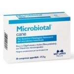 Microbiotal Dog Skatina Normalią Žarnyno Mikrobiotos Funkciją