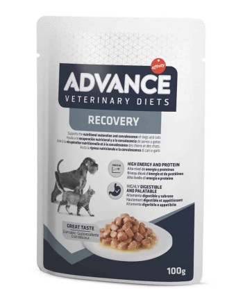 Advance Wet Recovery Dog&Cat konservai 100 g x 11 vnt.