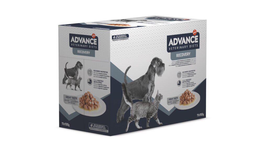 Advance Wet Recovery Dog&Cat konservai 100 g x 11 vnt.
