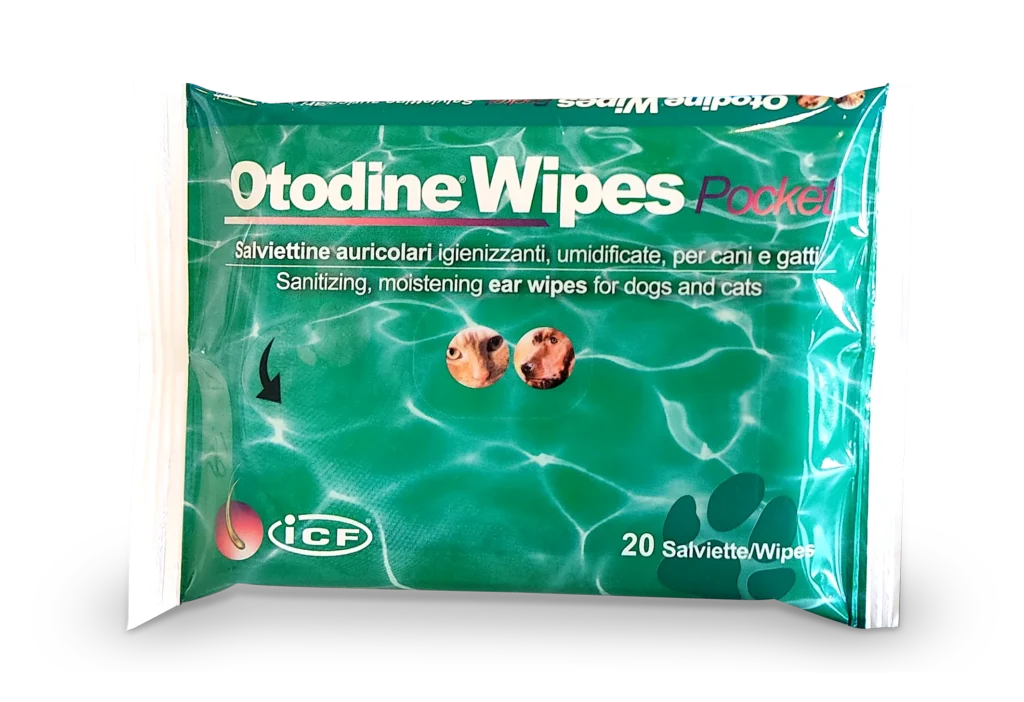 OTODINE WIPES N2